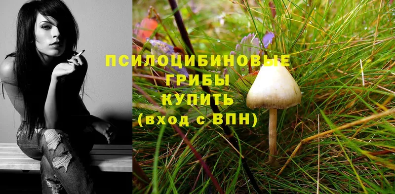 где купить   Югорск  Галлюциногенные грибы MAGIC MUSHROOMS 